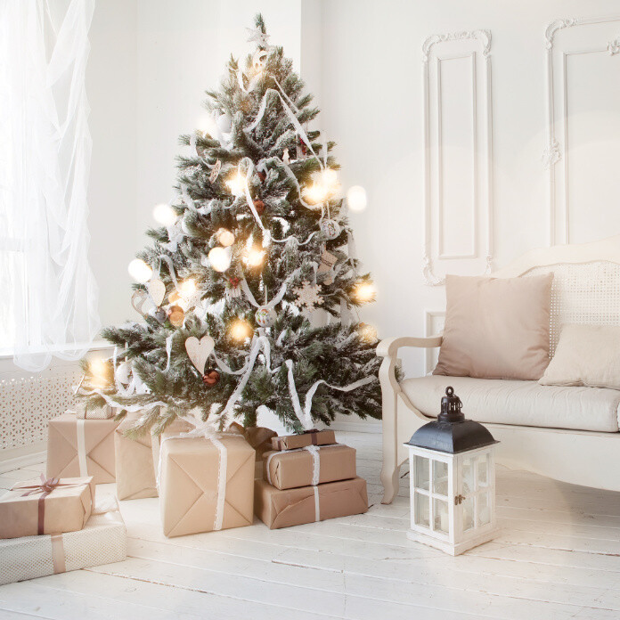 christmas gift feature