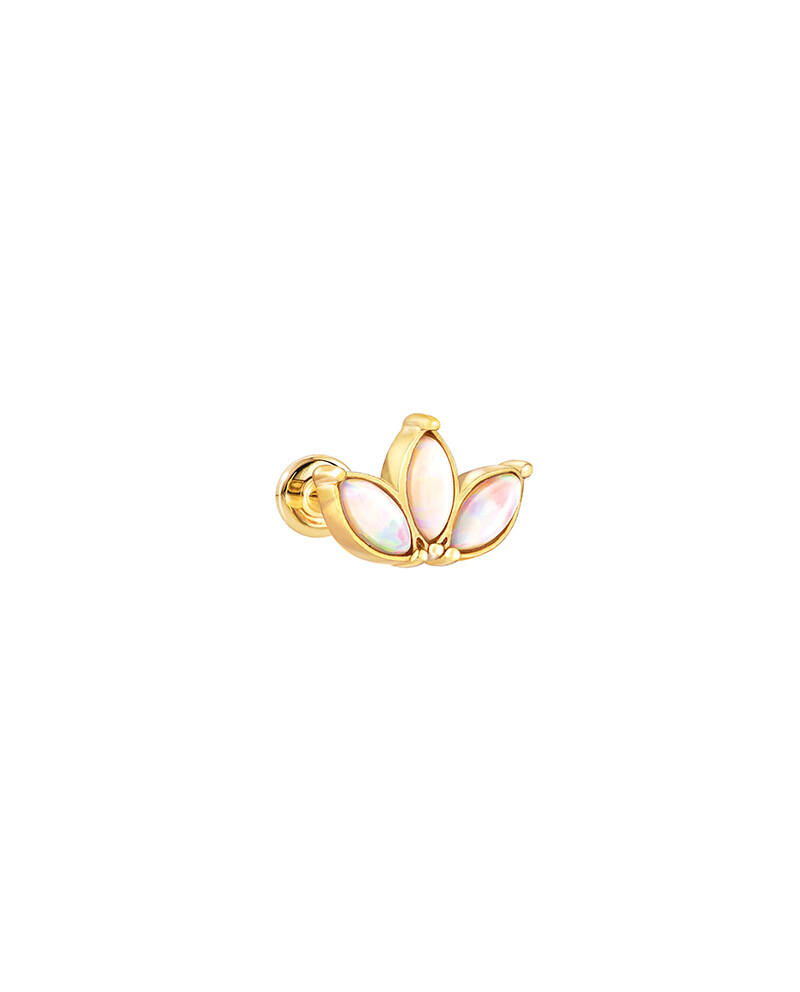 Product Featured Image